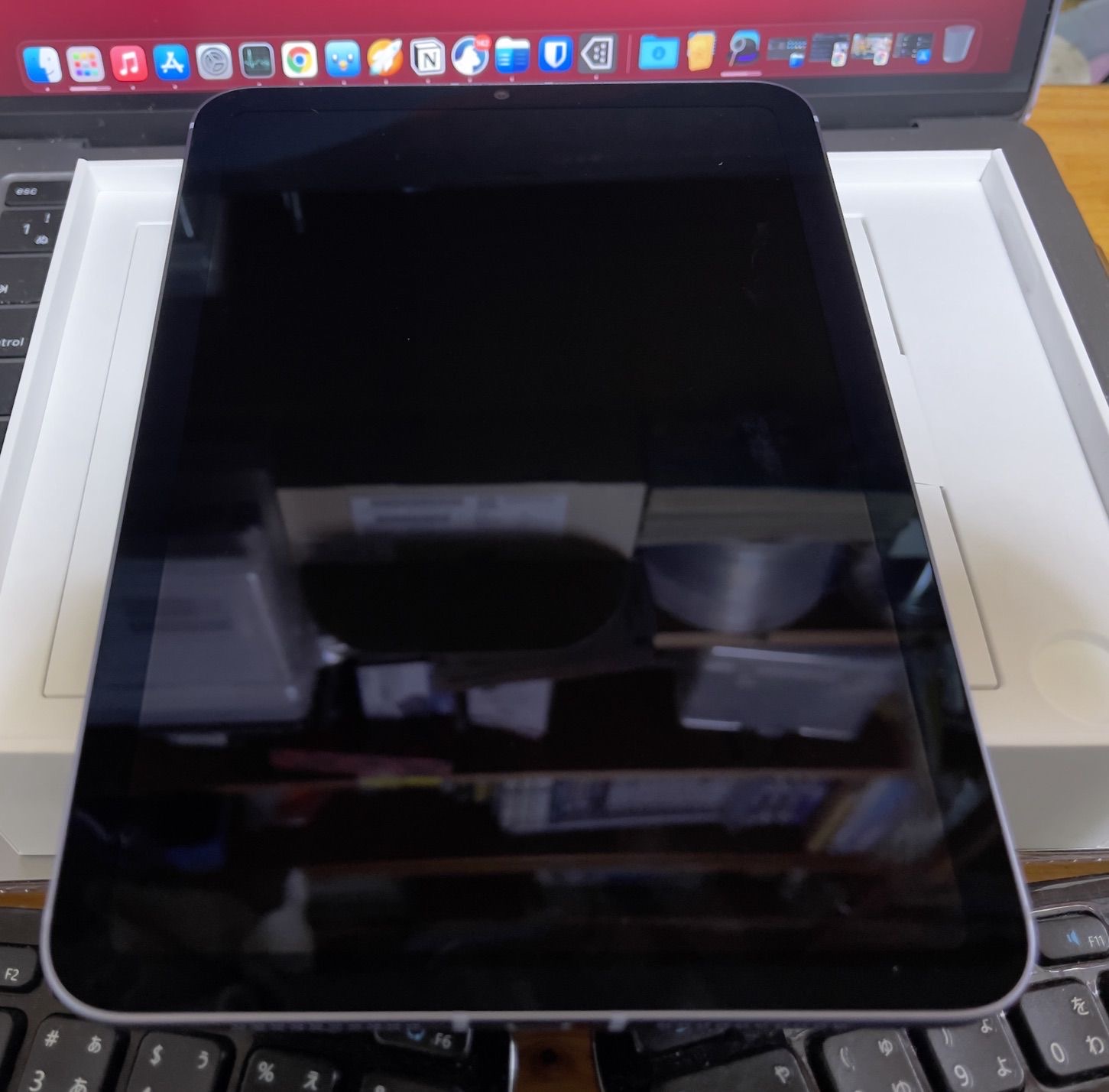 IPad mini 0004 IPad mini 0004